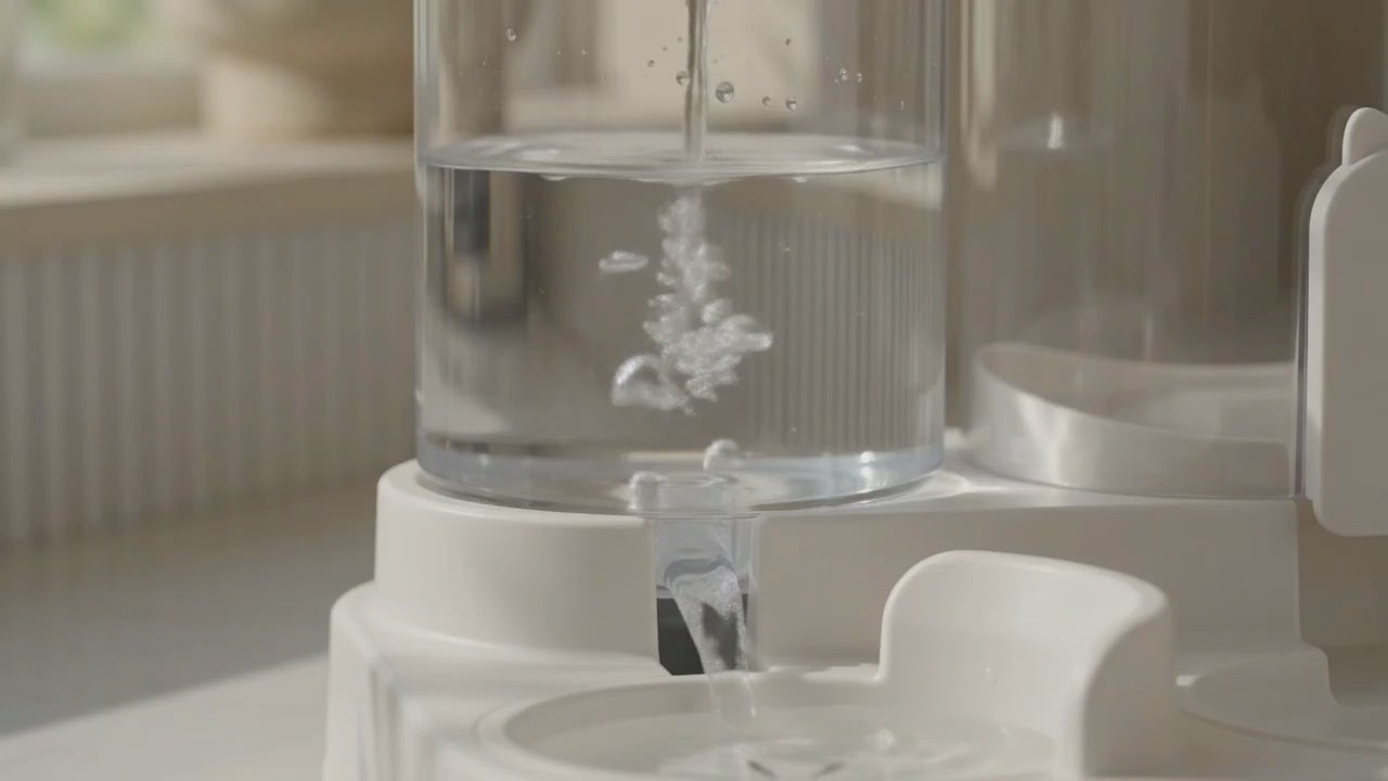 Distributeur Automatique de Croquettes avec Fontaine