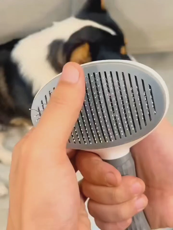 Brosse de Toilettage Autonettoyante Premium