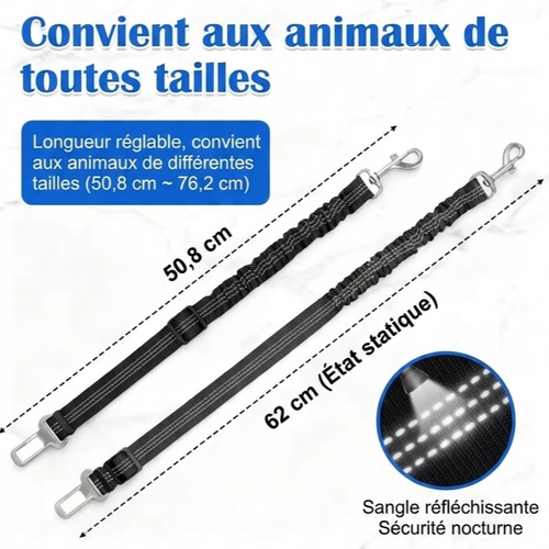 Ceinture de Sécurité Auto pour Chien et Chat – Confort Élastique & Haute Visibilité