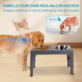 Gamelle Double Surélevée et Réglable – Confort & Hygiène Premium