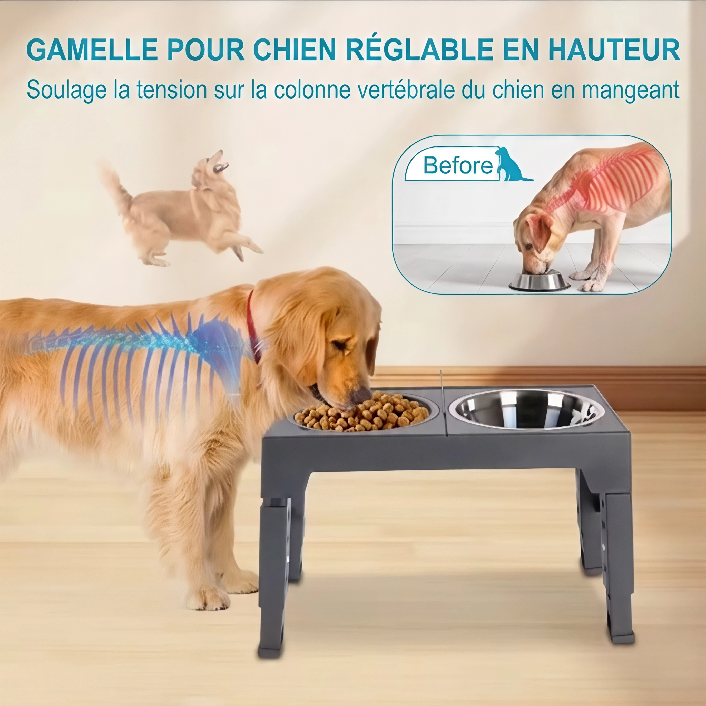 Gamelle Double Surélevée et Réglable – Confort & Hygiène Premium