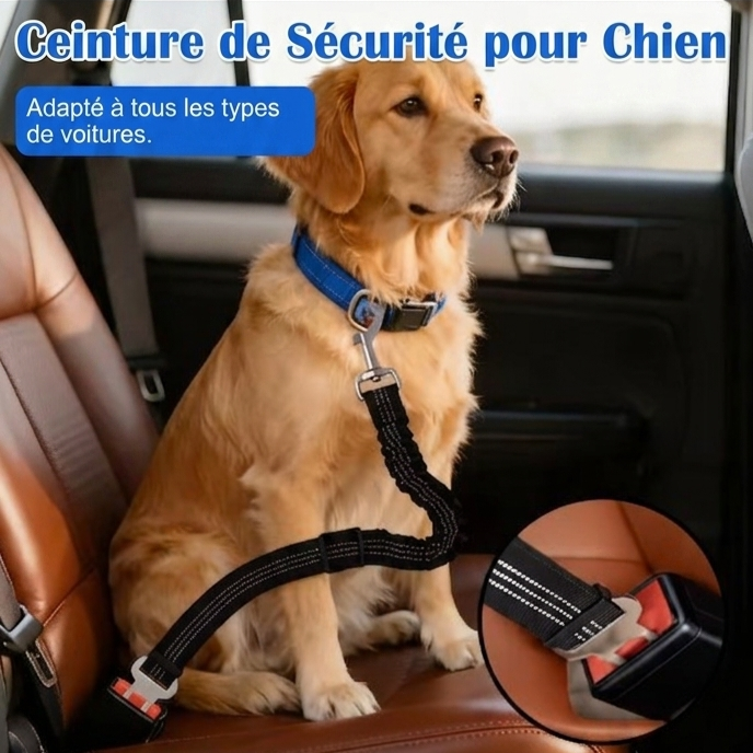 Ceinture de Sécurité Auto pour Chien et Chat – Confort Élastique & Haute Visibilité