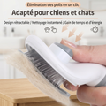 Brosse de Toilettage Autonettoyante Premium