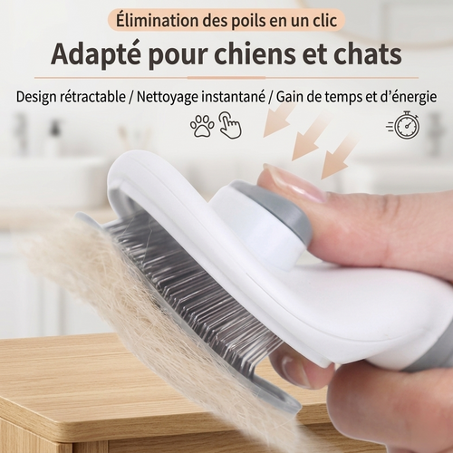 Brosse de Toilettage Autonettoyante Premium