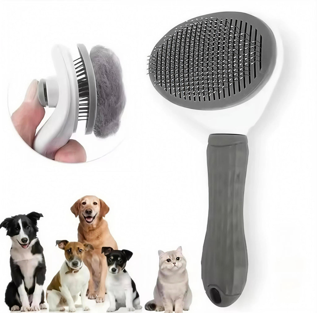 Brosse de Toilettage Autonettoyante Premium