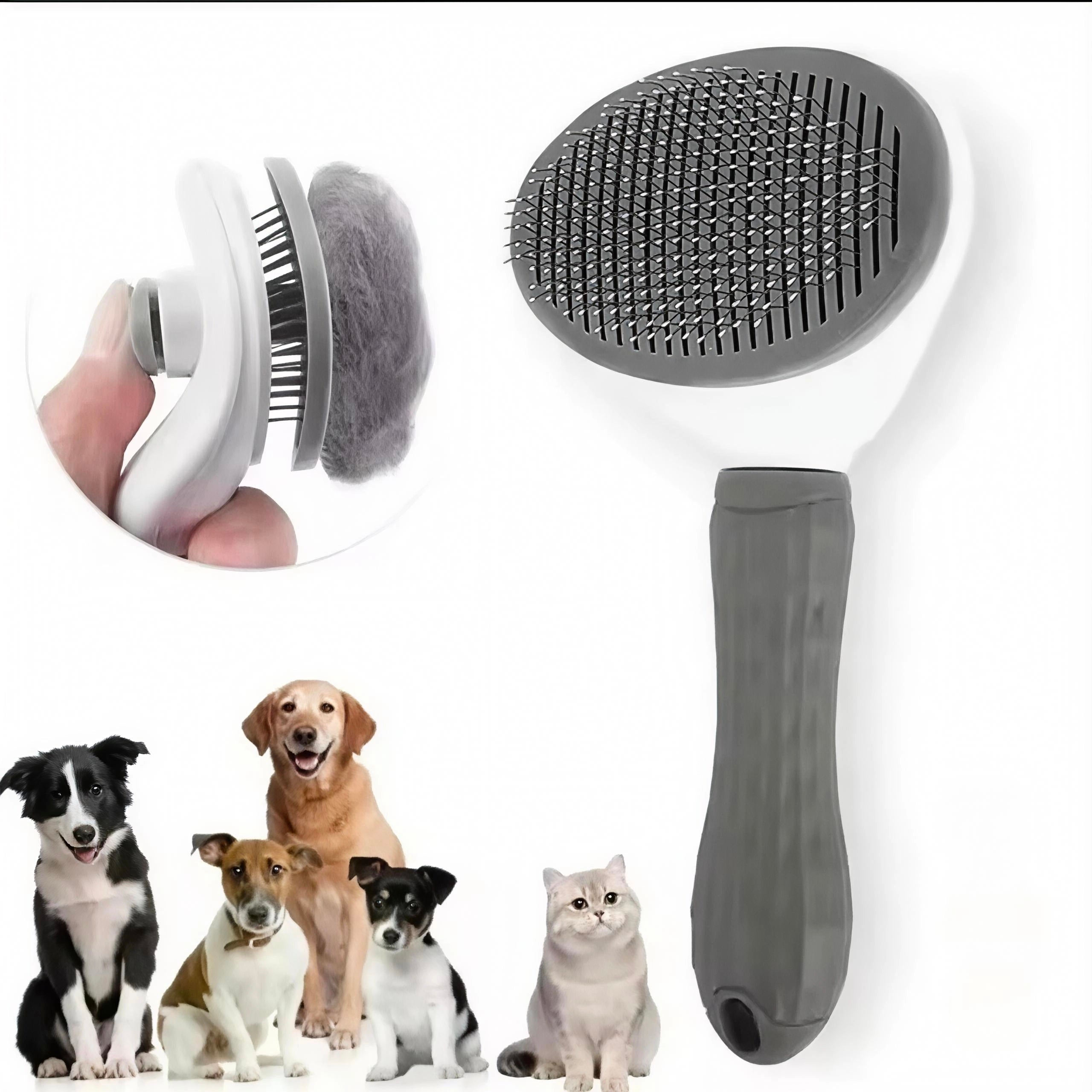 Brosse de Toilettage Autonettoyante Premium